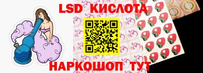 spice Камышлов