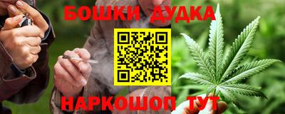 spice Камышлов