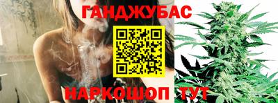 spice Камышлов